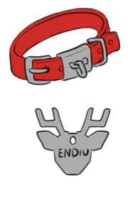 Collar and Tag